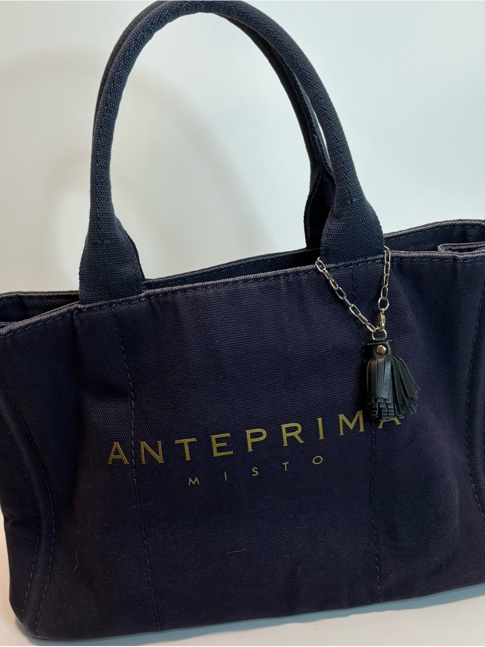 Anteprima Misto ($499) Navy Canvas Tote with Tassel Charm